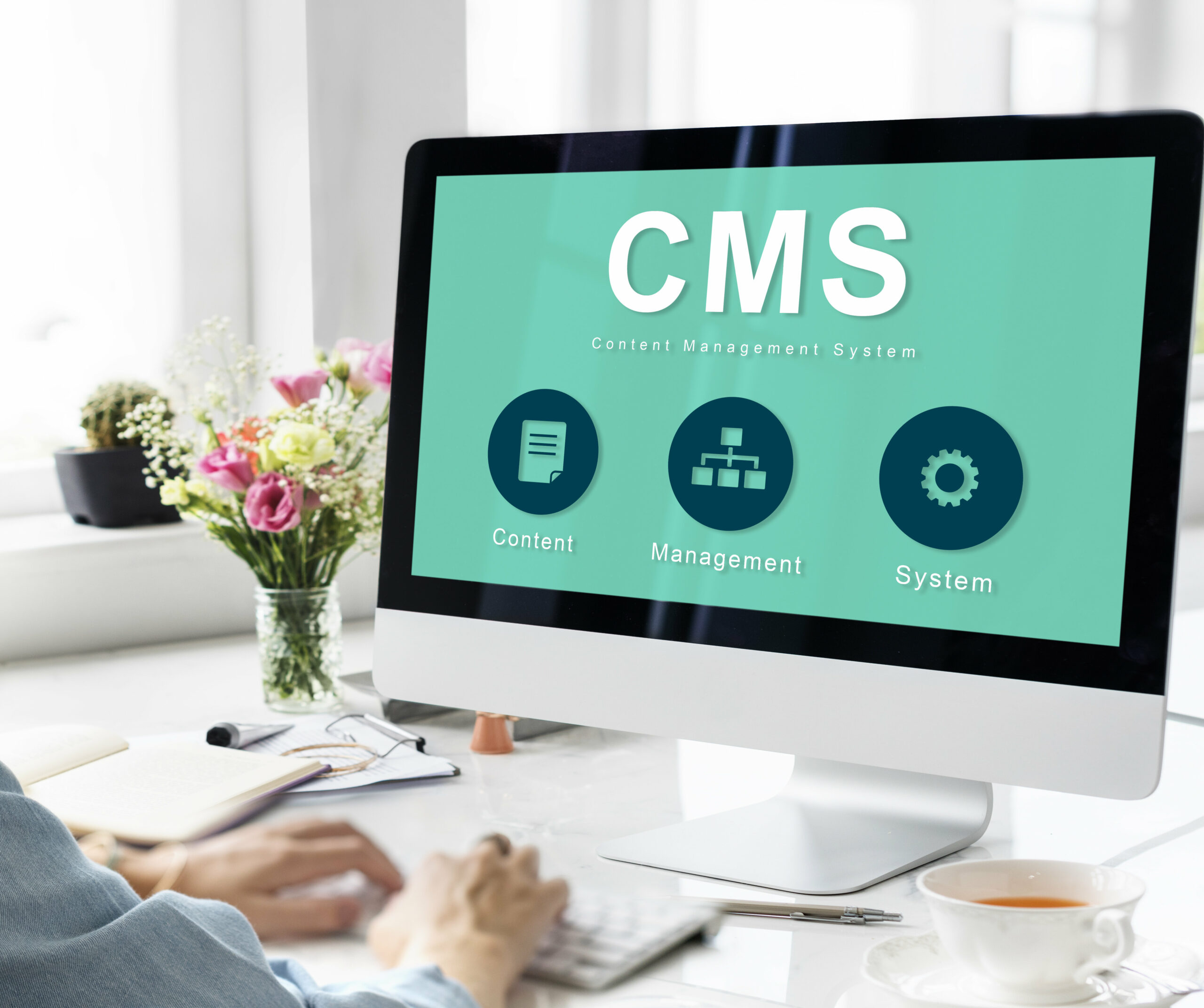 cms seo