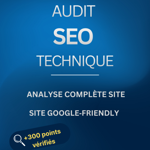 Audit seo technique