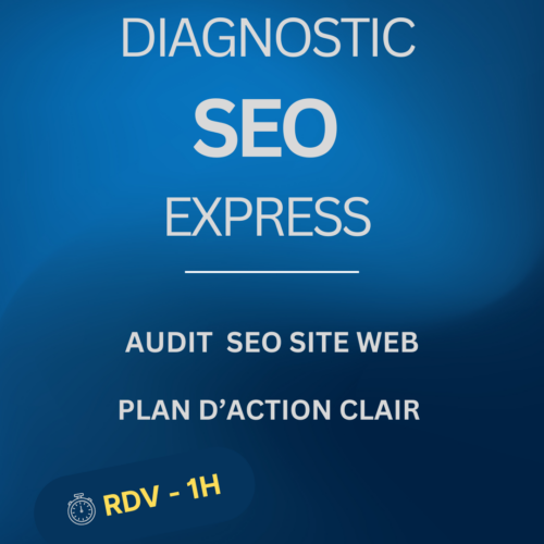 Diagnostic-SEO-Express