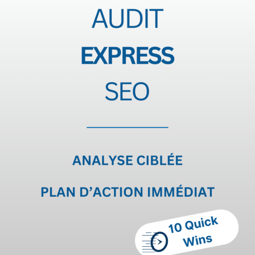 Audit express seo