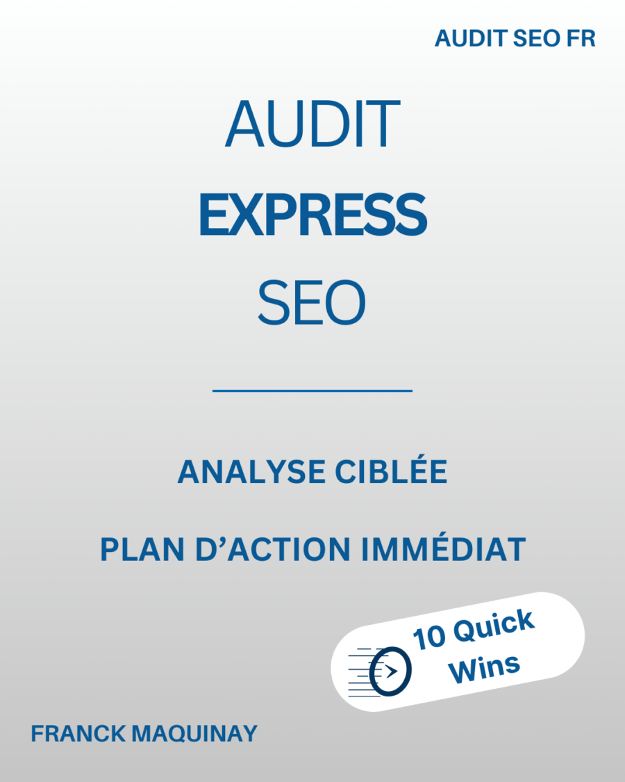 Audit express seo