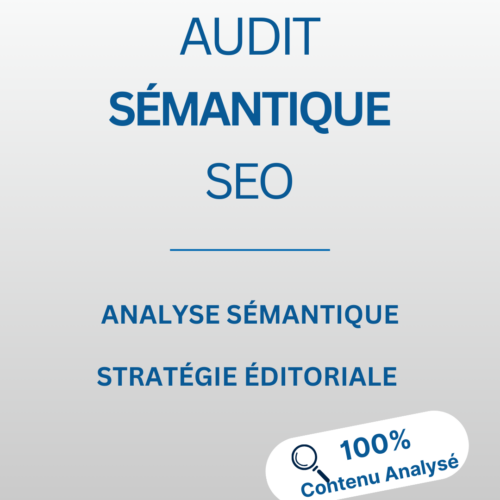 Audit seo sémantique